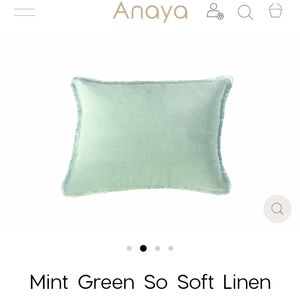 Anaya 14"×20" Mint Green Soft Linen Fringe Pillow Cover